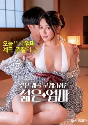 剧场版档期与票房配图